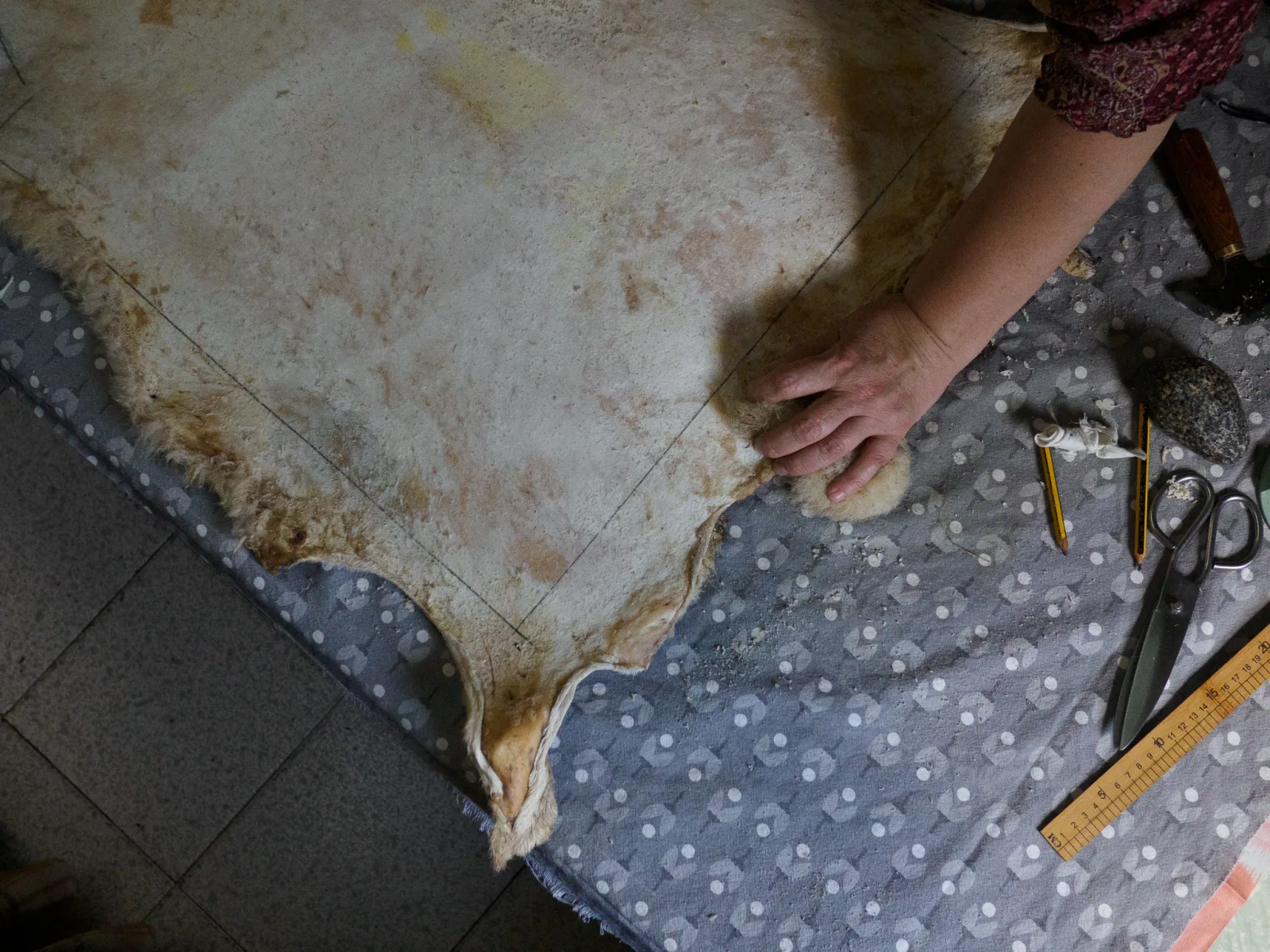 Fotografía real de una piel de lana blanca extendida con el patrón marcado